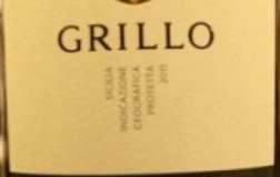 Grillo-2009.jpg
