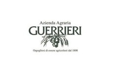 Guerrieri logo