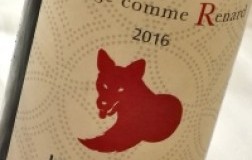 Henry Fuchs Pinot Noir Rouge comme Renard vino rosso alsazia