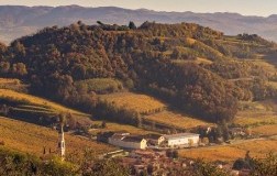 I Cavazza e Gambellara