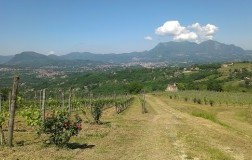 Radici e tradizioni (2)