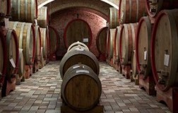 Il Feuduccio, un Montepulciano d'Abruzzo 