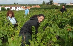 Il Muscadet di Christelle