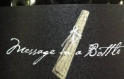tenuta il palagio message in a bottle spumante brut sting etichetta doctorwine