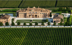 il pollenza cantina vini marche angera 2016 colli maceratesi ribona doc vino bianco 