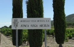 Il Signore di Spagna: Vega Sicilia (2)