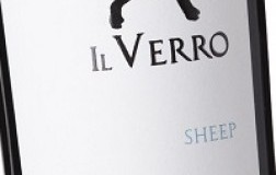 Il Verro Terre del Volturno Sheep