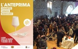 Il dinamismo del Bardolino