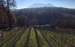 Il fiano di sabbia e argilla