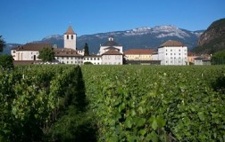 Il nobile Pinot Bianco di Muri-Gries