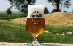 Il perfetto equilibrio di Reset del Birrificio Rurale di Desio