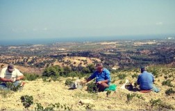 In giro per la Calabria