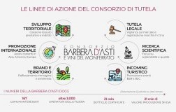 Infografica-Barbera-d-asti-Le-line-di-azione-del-Consorzio