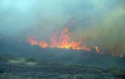 Insieme per Pantelleria