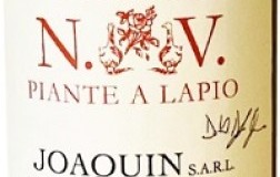 Joaquin N.V. Piante a Lapio
