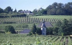 L’Original di Joseph Mellot, un Sancerre da manuale