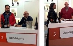 L'inattesa malvasia