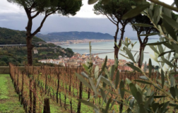 L'incanto sul mare