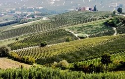 L’ultimo Dogliani di nonno Quinto