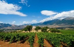 La Calabria s'è desta