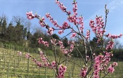 La Gironda coltivare bio