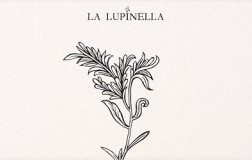 La Lupinella Montespertoli logo