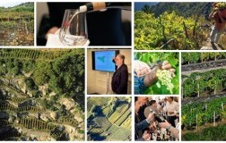 La gente del vino