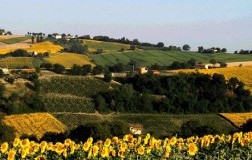 La linearità della Val Misa