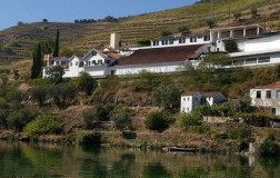 La sobria interpretazione del Porto di Quinta de la Rosa