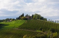 La tipicità della Gran Selezione Vigna Paronza di Casale dello Sparviero