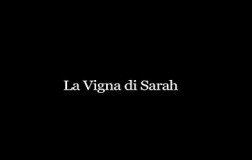 La Vigna di Sarah logo