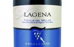 Lagena-2015.jpg