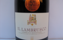 Lambrusco-Mantovano.jpg