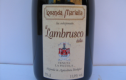 Lambrusco-Per-Mariella.jpg