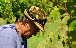 Lamoretti e il suo Lambrusco che dona allegria