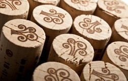 Lauro 2015 Poderi Mattioli, il Verdicchio Riserva della vigna Moglietta