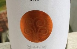 Lauro-2015.jpg