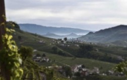 le colture Rive di Santo Stefano Gerardo Brut 2015 conegliano valdobbiadene prosecco vigneti