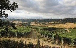Le diverse interpretazioni della Doc Maremma