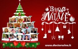 Le novità di DoctorWine
