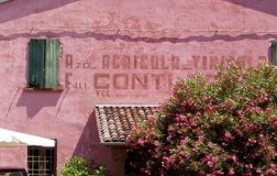 Le tre civette fanno 