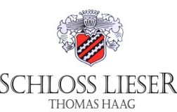 Logo-Schloss-Lieser