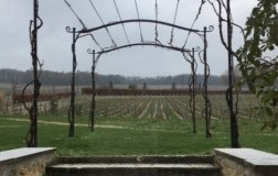 champagne salon delamotte vigneti cuvee s 2006