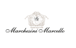 Marchesini Marcello logo