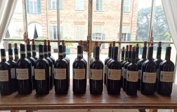 Marchesi Alfieri Barbera d'Asti Alfiera verticale