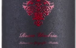 marciliano rosso umbria igt famiglia cotarella falesco vino rosso umbria lazio