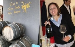 marilina aufiero cantina bambinuto irpinia greco di tufo campania doctorwine