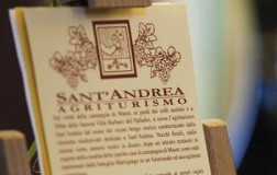 Martignago-Cantina-Sant-Andrea.jpg