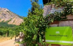 Masseria Frattasi cantina vini Campania