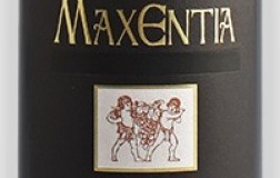 Maxentia Vigneti delle Dolomiti Nosiola 2022